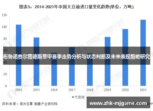 布鲁诺费尔南德斯意甲赛季走势分析与状态判断及未来表现前瞻研究 布鲁诺费尔南德斯意甲赛季走势分析与状态判断及未来表现前瞻研究